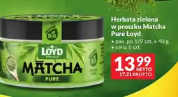 Makro Herbata zielona Loyd oferta