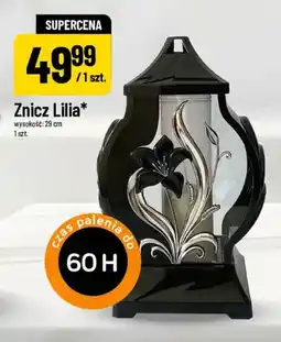 Polomarket Znicz Lilia oferta