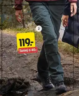 Jula Spodnie damskie oferta