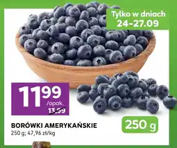 Stokrotka Express Borówki amerykańskie oferta