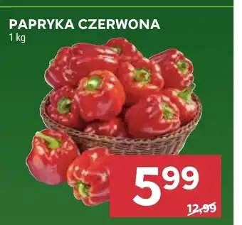 Stokrotka Papryka oferta