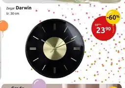 Black Red White Zegar Darwin oferta