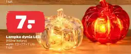 Netto Lampka dynia LED oferta