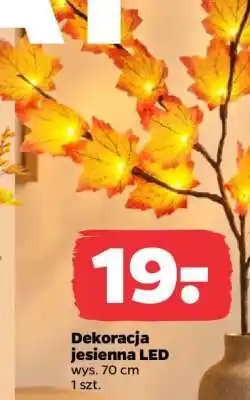 Netto Dekoracja jesienna LED oferta