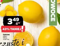 Netto Cytryna oferta