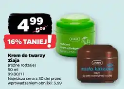 Netto Krem do twarzy ZIAJA oferta