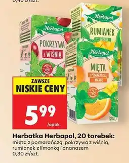 Biedronka Herbatka Herbapol, 20 torebek oferta