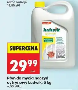 Biedronka Płyn do mycia naczyń cytrynowy Ludwik, 5 kg oferta
