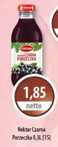 DUO-TES Nektar Czarna Porzeczka oferta