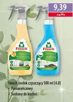 DUO-TES Frosch środek czyszczący oferta