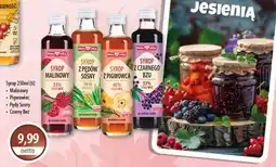 DUO-TES Syrop z pedów sosny oferta