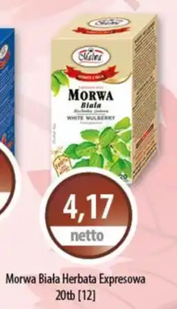 DUO-TES Morwa Białą Herbata Expressowa oferta