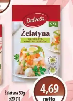 DUO-TES Żelatyna Delecta oferta