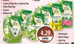 DUO-TES Herbapol Zieleń Polski oferta