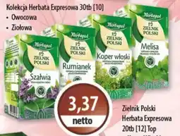 DUO-TES Zielnik Polski Herbata Expressowa oferta