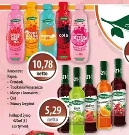 DUO-TES Herbapol Koncentrat Napoju oferta