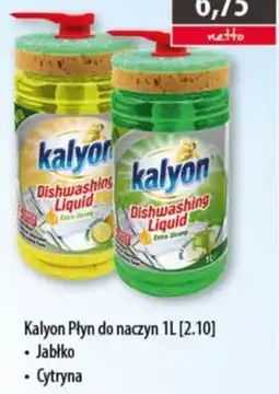DUO-TES Kalyon Płyn do naczyń oferta