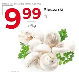 Frac Pieczarki oferta