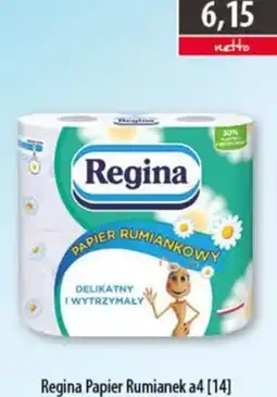 DUO-TES Regina Papier Rumianek a4 oferta