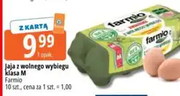 E.Leclerc Jaja z wolnego wybiegu klasa M Farmio oferta