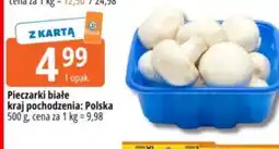 E.Leclerc Pieczarki białe oferta