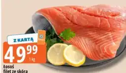 E.Leclerc Łosoś filet ze skórą oferta