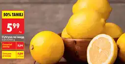 Biedronka Cytryna na wagę oferta
