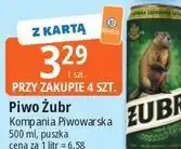E.Leclerc Piwo Żubr oferta
