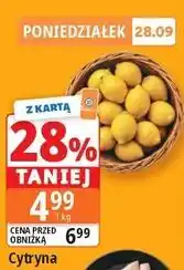 E.Leclerc Cytryna oferta