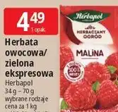 E.Leclerc Herbata owocowa/zielona ekspresowa Herbapol oferta