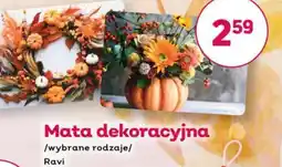Bliski Mata dekoracyjna Ravi oferta