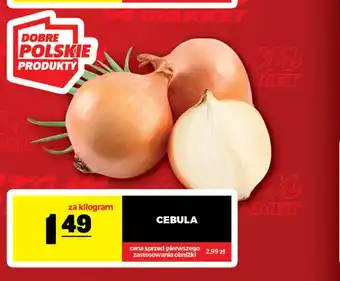 Cebula