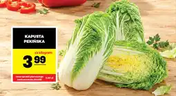 Gram Market Kapusta pekińska oferta