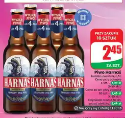 Dino Piwo Harnaś oferta