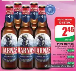 Dino Piwo HARNAŚ oferta