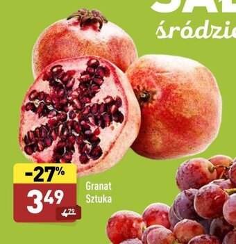 ALDI Granat oferta