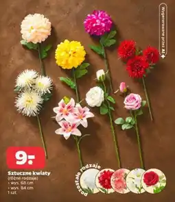 Netto Sztuczne kwiaty oferta