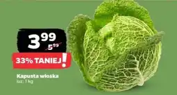 Netto Kapusta włoska oferta