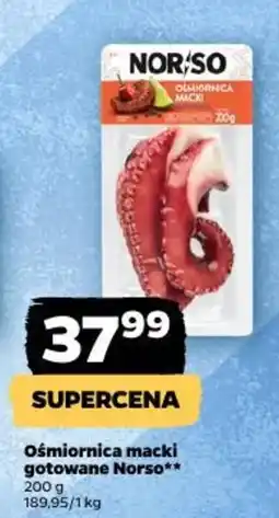 Netto Ośmiornica macki gotowana Norso oferta