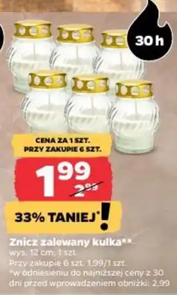 Netto Znicz zalewany kulka oferta