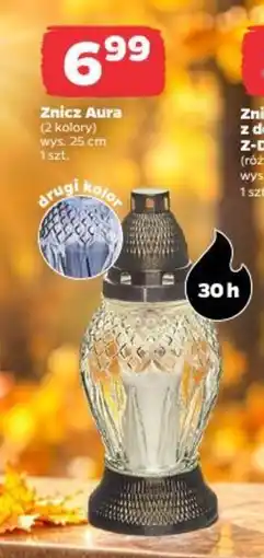 Netto Znicz Aura oferta