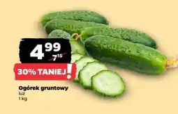 Netto Ogórek gruntowy oferta