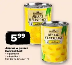 Netto Ananas w puszcze Harvest Best oferta