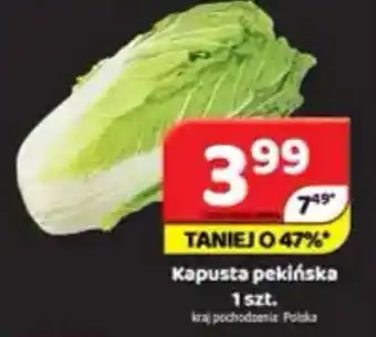 Kapusta pekińska