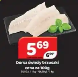 Delfin Dorsz świeży brzuszek oferta