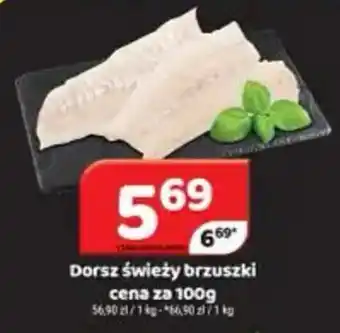 Dorsz świeży brzuszek