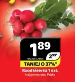 Delfin Rzodkiewka oferta
