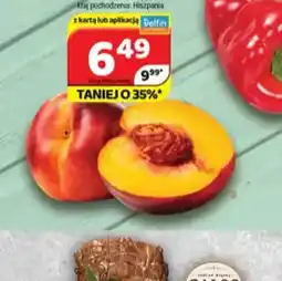 Delfin Morela oferta