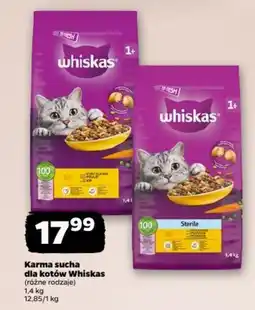 Netto Karma sucha dla kotów Whiskas oferta