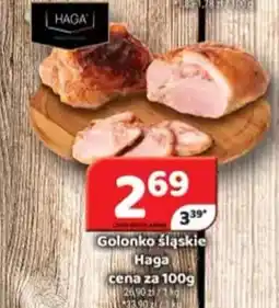 Delfin Golonko śląskie Haga oferta